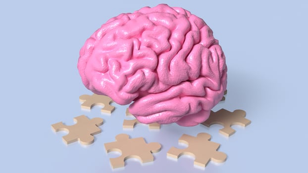 The brain and jigsaw for sci or education concept 3d rendering. photo