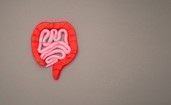 A large intestine shape made from plasticine over a gray background photo