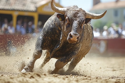 Powerful bull running in a bullring raising dust photo