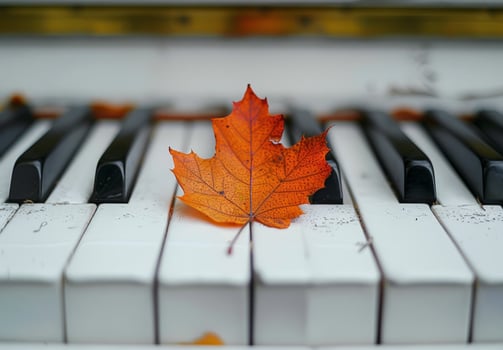Autumn Leaf Resting on Piano Keys photo