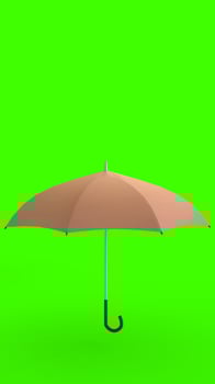 umbrella with green background photo