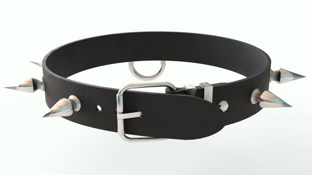 dog leather collar with white background photo
