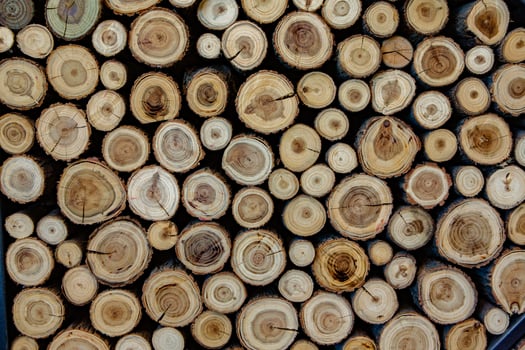Pile of firewood in a forest. Background of wooden logs stacked in a pile. Wood texture. photo