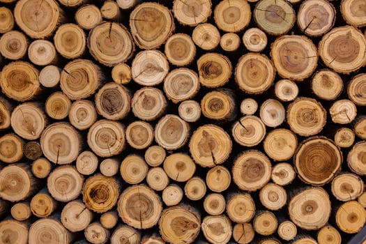 Pile of firewood in a forest. Background of wooden logs stacked in a pile. Wood texture. photo