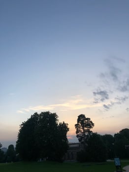 The setting sun behind trees photo