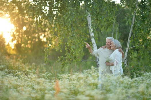 Beautiful elderly couple walking in the park photo