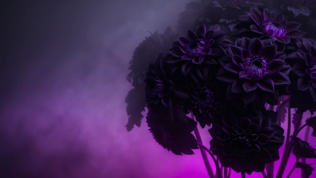 A purple and black background with flowers photo