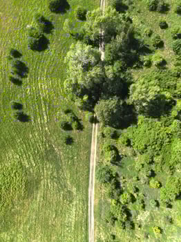 Country road going through a meadow with green grass and trees. View from above. Poland photo