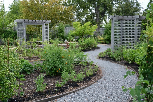 Beautiful edible landscaping design features lush greenery and winding pathways in garden. photo