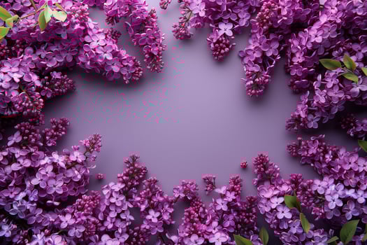 Purple lilac flowers arranged in a circle on a purple background photo