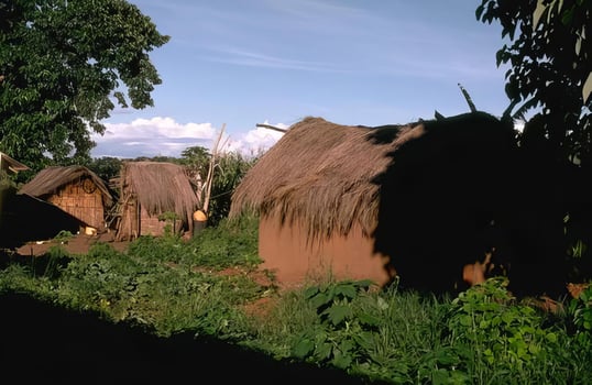 Sky, thatching and plant background photo