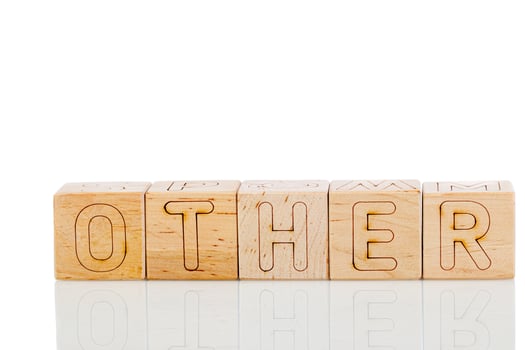 Wooden cubes with letters other on a white background photo