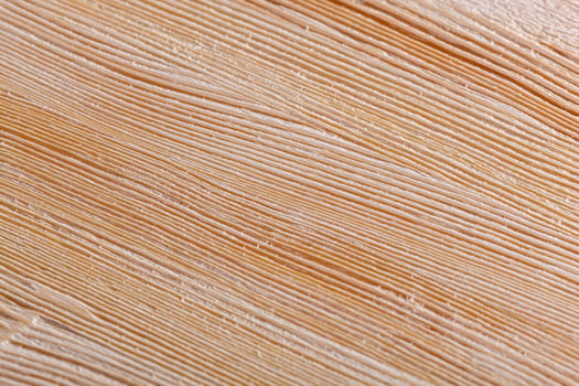 wooden board with texture after processing photo