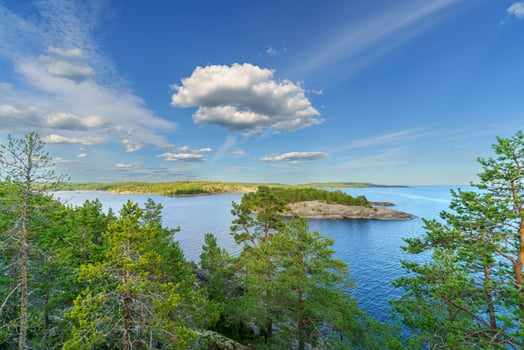 Beautiful stones and pine trees on the lake. Landscape of wild nature. photo