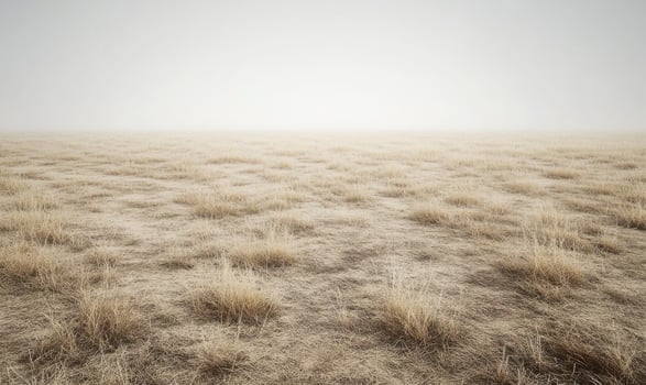 A field of dry grass with a cloudy sky in the background photo