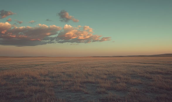 A large, empty field with a cloudy sky in the background photo