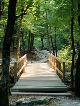 A wooden bridge in the woods photo