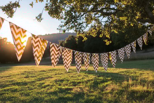 Colorful decorative flags hanging from a tree in a sunny garden during late afternoon photo