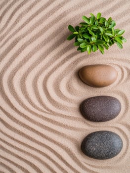 zen garden with rocks and plant photo