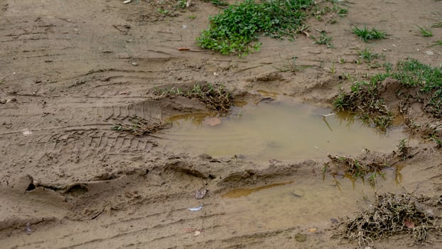 Muddy tire tracks on a dirt path with puddles highlight rural travel challenges during the rainy season photo