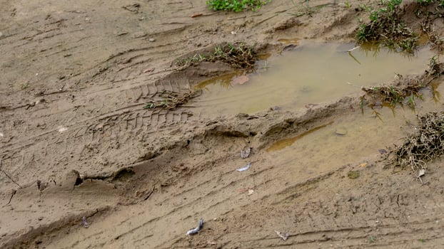 Muddy trail with tire tracks and puddles, highlighting challenges of bad weather effects on rural roads and transportation photo