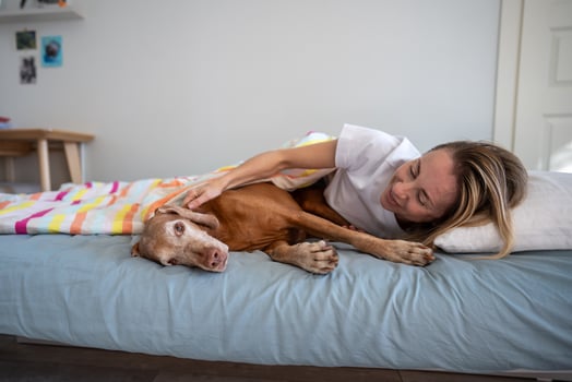 Laughing relaxed woman lying with dog Magyar Vizsla on bed, lazy, not want to go anywhere in morning photo