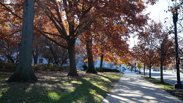 The beautiful Wshington DC city view in autumn photo