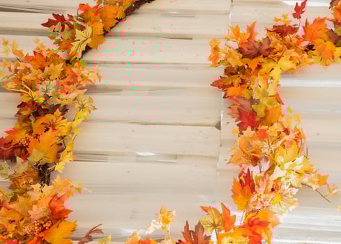 Autumn bakground with copyspace. Orange and yellow photo