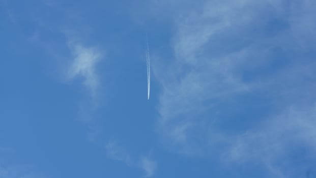 The birds flying in the blue sky freely photo