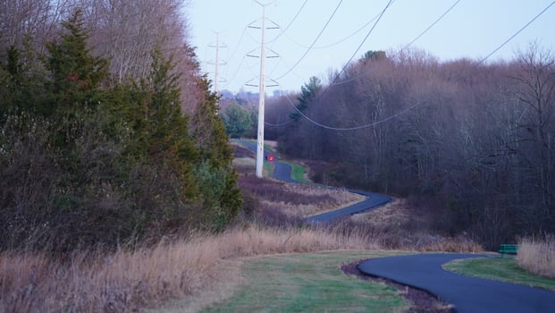 The forest view with a road cross them and several exercise people on the road photo