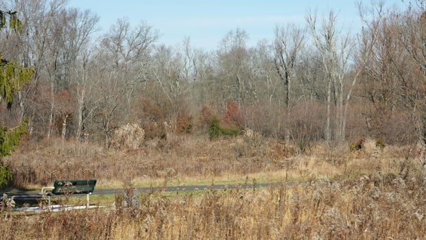 The wild forest view in the countryside of the city in winter photo