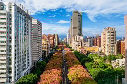 Aerial view of Taipei city in Taiwan with flamegold rain tree blossom photo