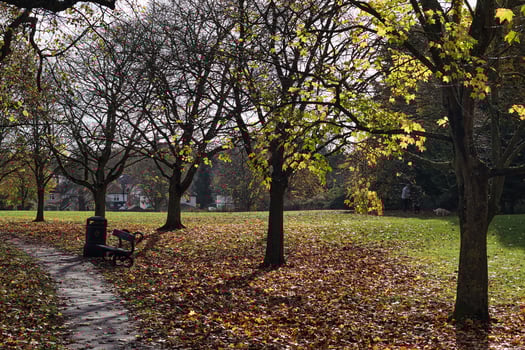 Park Path with Fallen Leaves and Bench photo