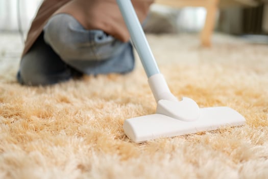 A close-up of a woman is vacuuming the carpet in the living room at home. image with a copy space photo