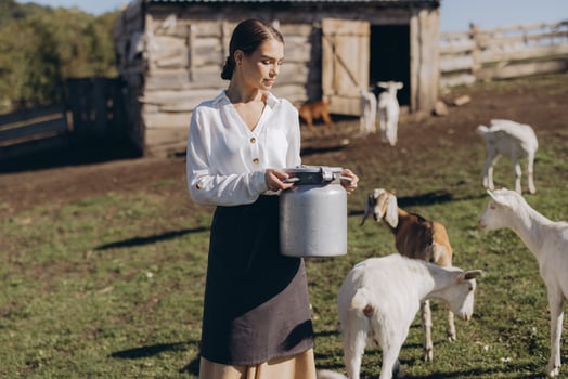 Young Woman on Goat Farm Holding Metal Container in Countryside Setting with Wooden Barn and Grazing Goats photo