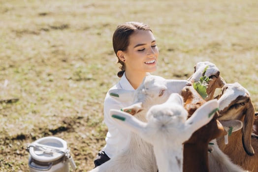 Young Woman Enjoying a Sunny Day Surrounded by Friendly Goats in a Pastoral Farm Setting with Milk Container Nearby photo