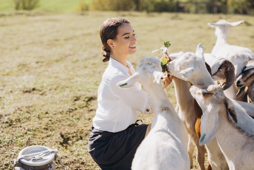 Young Woman Feeding Goats in Sunny Pasture, Embracing Nature and Farm Life with Joyful Interaction photo