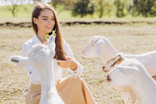 Young Woman Enjoying a Peaceful Day Outdoors Feeding Goats in a Serene Countryside Setting Under Clear Blue Skies photo