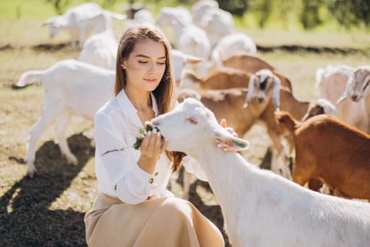 Young Woman Feeding Goats on a Sunny Farm Day, Embracing Wildlife and Nature photo