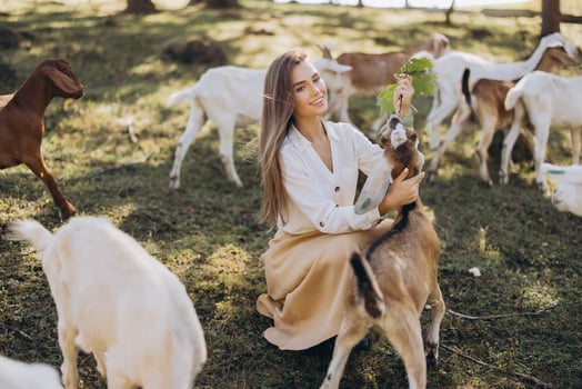 Young Woman Joyfully Feeding Curious Goat Leaves in a Sunny Pasture, Surrounded by a Herd of Happy Goats. Embracing Nature and Farm Life on a Peaceful, Bright Day Outdoors in the Countryside photo