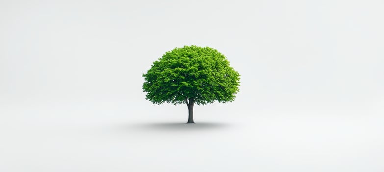 Lush, Green Tree Isolated on White An Environmental Concept Representing Sustainability and Nature. photo