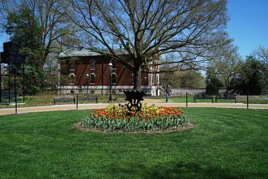 Green park with arrangement of colorful flowers and buildings at 'MISSOURI BOTANICAL GARDEN' -Saint Louis town, MO photo