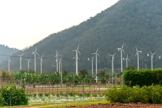 A field of green grass photo