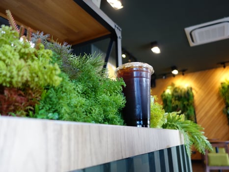 A drink sitting on a counter next to plants photo