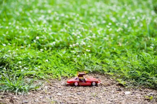 Sport car model in nature place . photo