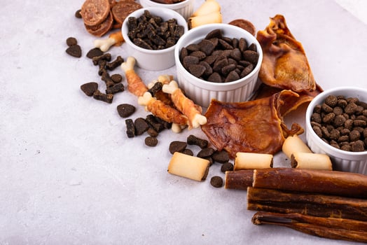Assortment of different dog treats and snack photo