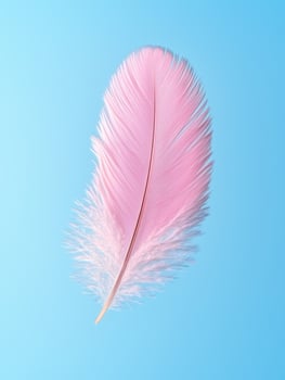 Soft pink feather against a vibrant blue background photo