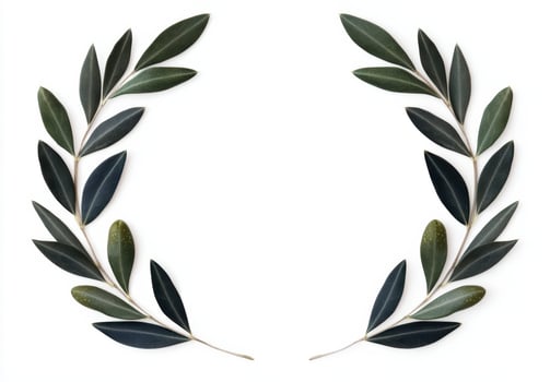 Elegant olive branch wreath on white background photo