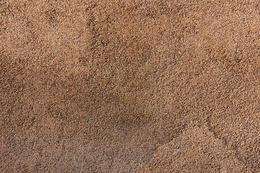 Wall background. Brown texture with sunlight. photo
