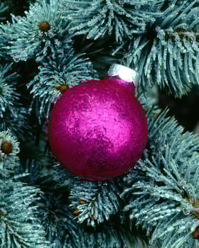 Charming Christmas Tree Adorned with Colorful Ornaments and Evergreen Branches photo